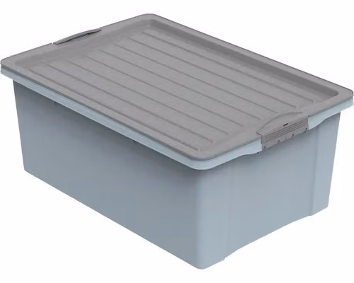 Rotho Contenitore 38L Compact - Contenitore in plastica 57,0 x 40 x 25,0 cm - Contenitore impilabile con coperchio - Contenitore di stoccaggio con chiusura sicura