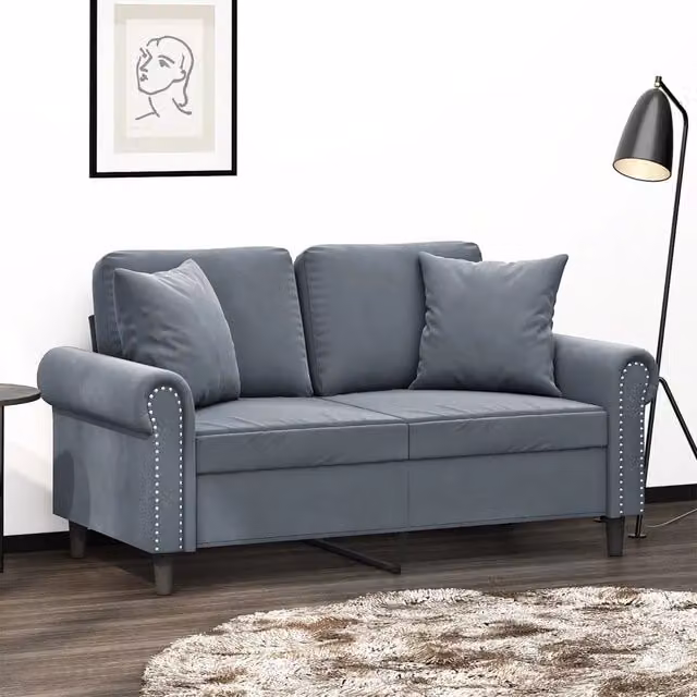 Divano a 2 Posti con Cuscini-Sofa 2 Posti con Cuscini Grigio Scuro 120 cm in Velluto 589988