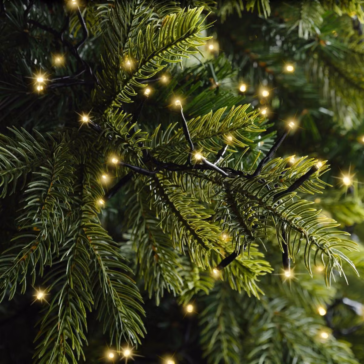 Lichterkette Excel Lights LED 2500cm