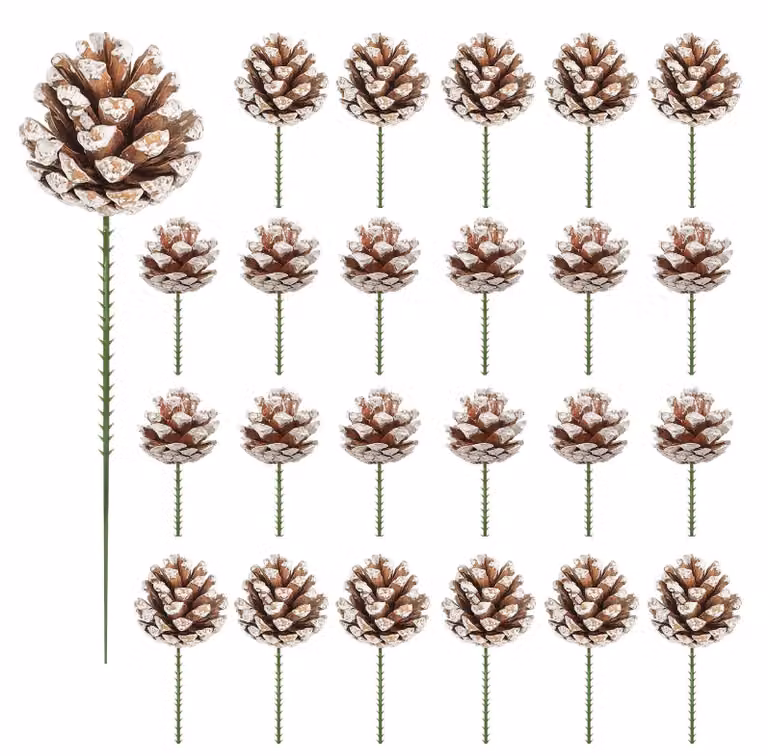 24 pigne con stelo, ideali per decorazioni