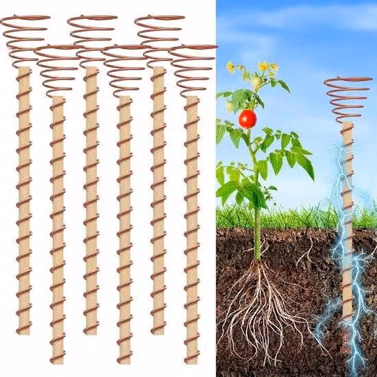 Set di pali per orticoltura elettroponici - Rame - Pali da giardino - Antenna - per ortaggi e frutta nel cortile