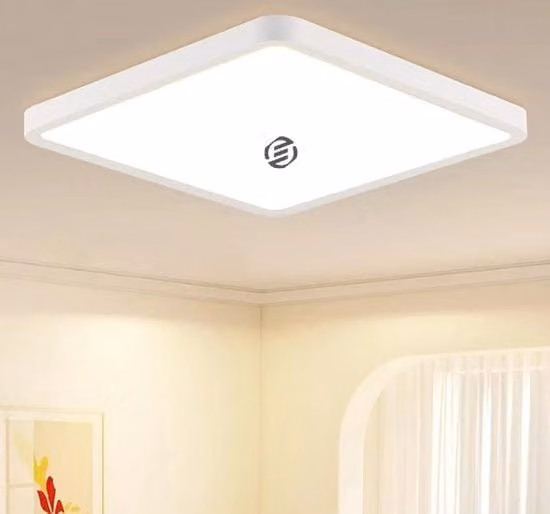 Plafoniera LED Muyuua bianca per soffitto, design moderno in plastica con luce bianca fredda