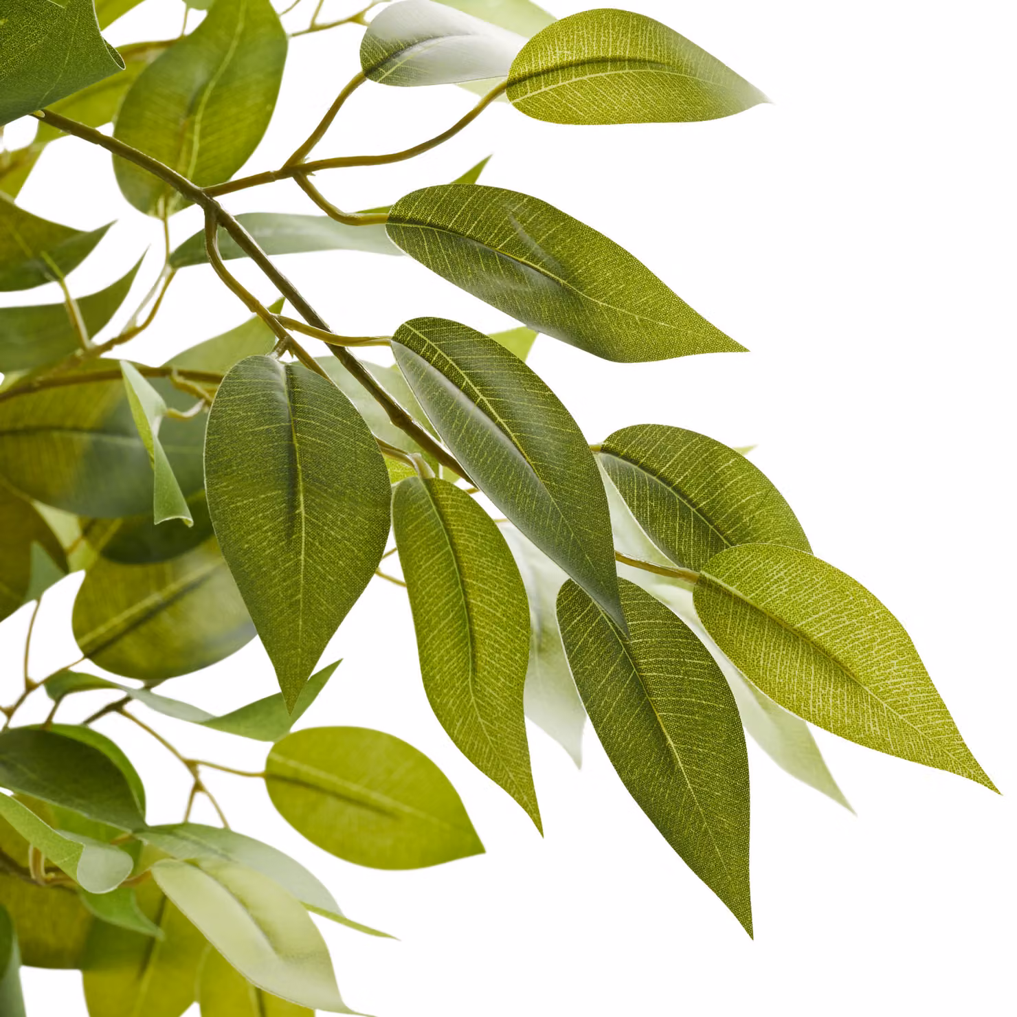 Albero di Ficus artificiale Tectake verde, altezza: 120 cm – 1
