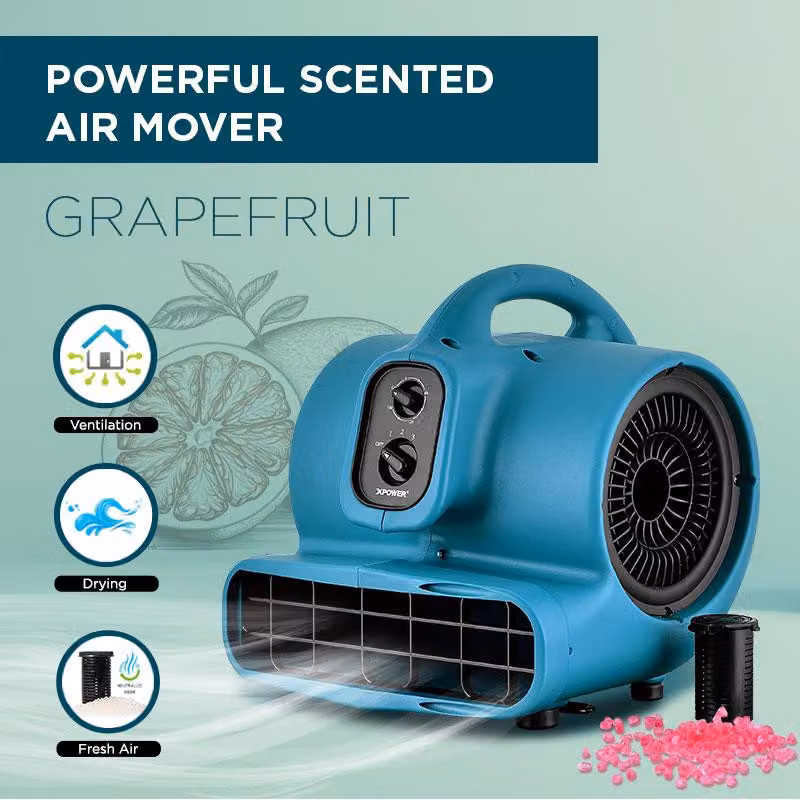 Ventilatore, circolazione ad alta velocità, timer regolabile, colore blu