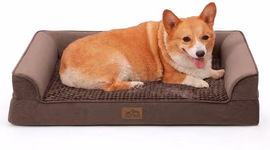 Cuccia per cani di taglia media, con superficie resistente al vapore, imbottitura in gommapiuma di media densità, rivestimento in tessuto sfoderabile e lavabile, base impermeabile e gradino antiscivolo.