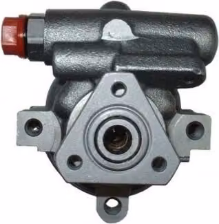 SPIDAN 53672 Pompa servosterzo Pompa servosterzo per RENAULT CLIO II (BB0/1/2, CB0/1/2) Idraulica