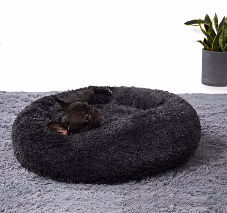 Cuccia per cani, 60 cm, lavabile, adatta a cani di piccola taglia, per uso interno