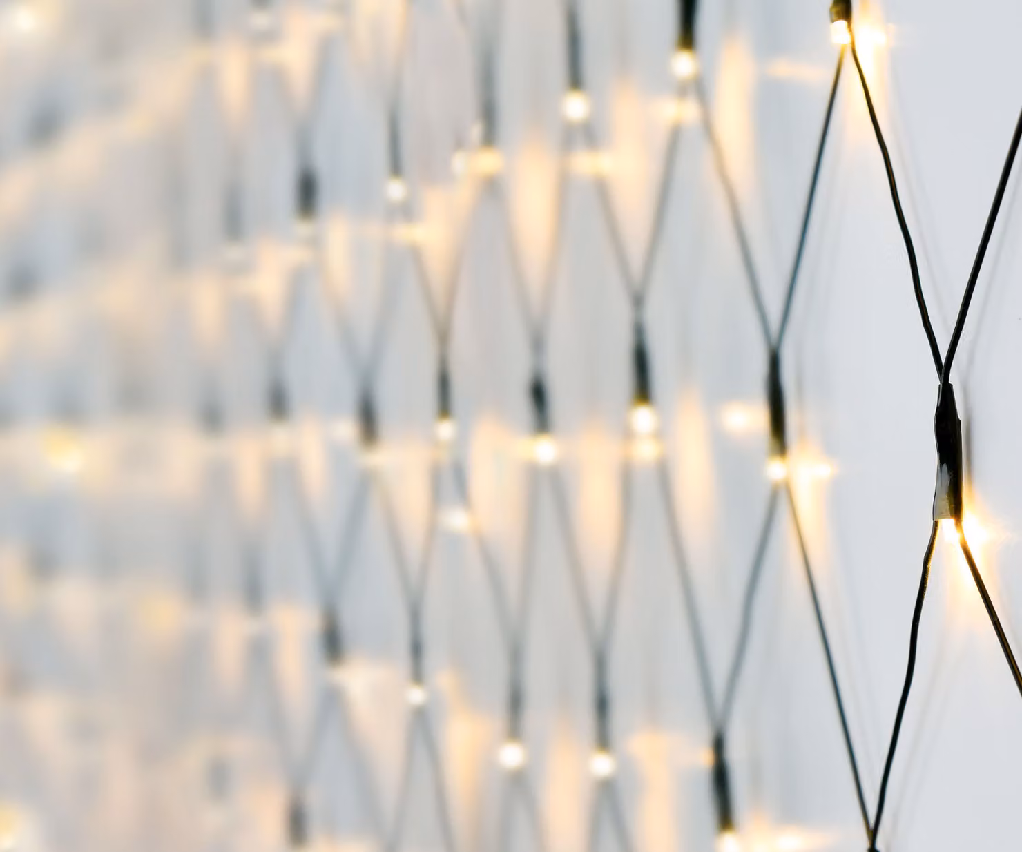 Rete luminosa a LED 1,5 m con 100 LED in bianco caldo - con spina di rete - processo di illuminazione per la decorazione del giardino