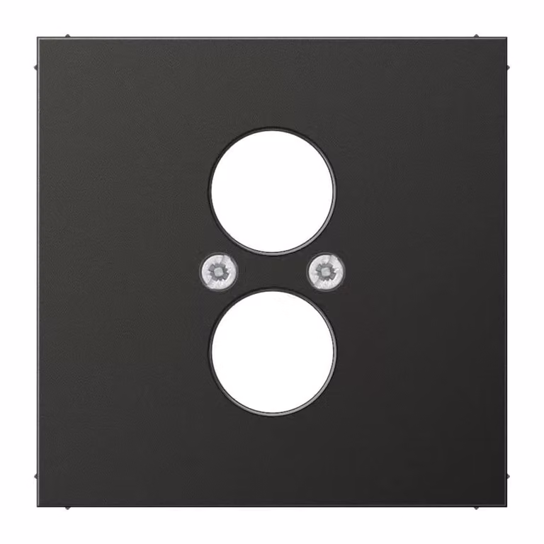 Jung AL2962-2AN Copertura antracite (alluminio verniciato)