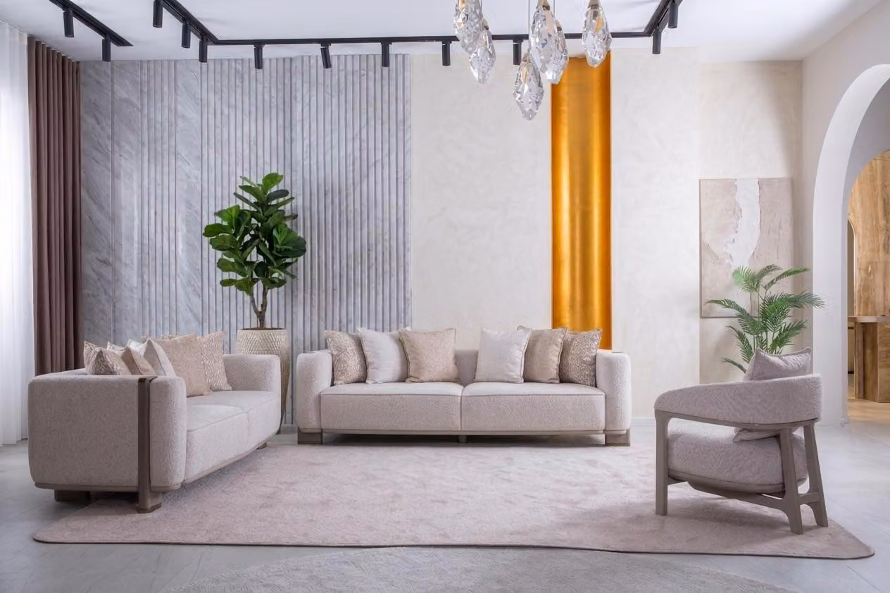 Set per soggiorno: divani, poltrone, design moderno, stile elegante