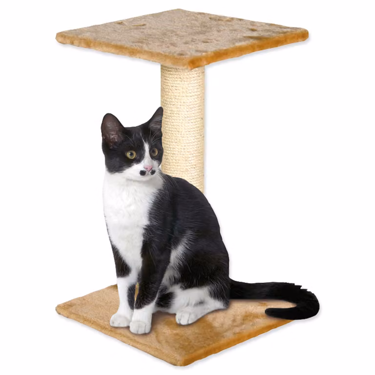 MAGIC CAT Beata beige 60 cm 1 pz