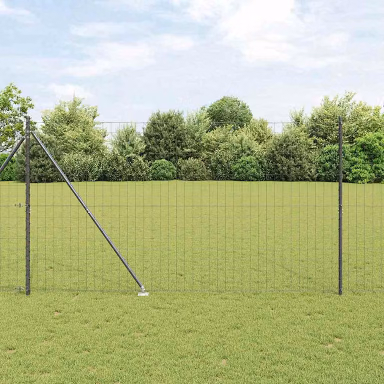 Maison Exclusive - Recinzione con Posto Grigio 1,6 x 10 m Acciaio e PVC