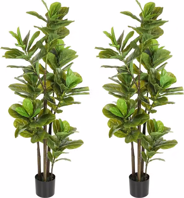 Set di 2 piante artificiali Ficus Lyrata HOMCOM con vaso in cemento, Altezza: 150 cm, Verde