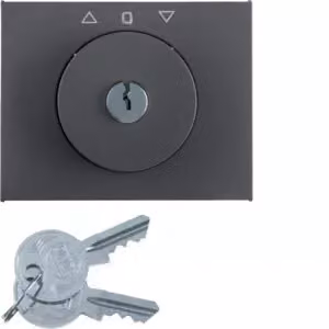 Berker 1079710600, Antracite, Termoplastica, Senza viti, Berker, Opaco, K.1