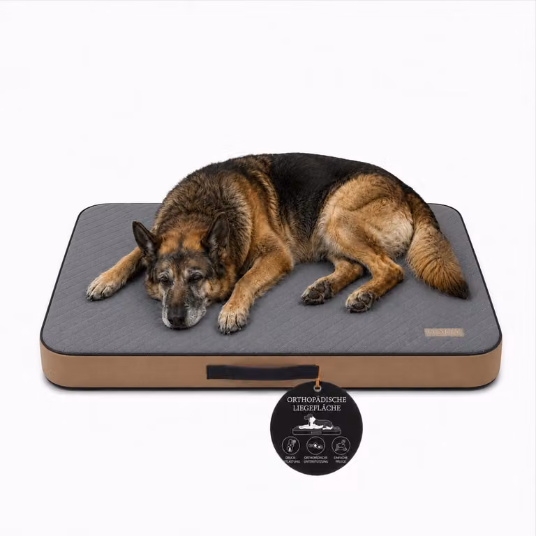 Materasso ortopedico per cani, cuccia che allevia le articolazioni XL 110 × 75 cm, grigio