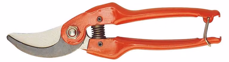 Potatore professionale a una mano, modello tradizionale, con una capacità di taglio di 20 mm