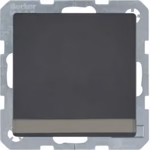 Presa SCHUKO Berker 47526086 con coperchio ribaltabile e campo di etichettatura, color antracite, con Berker Q.1
