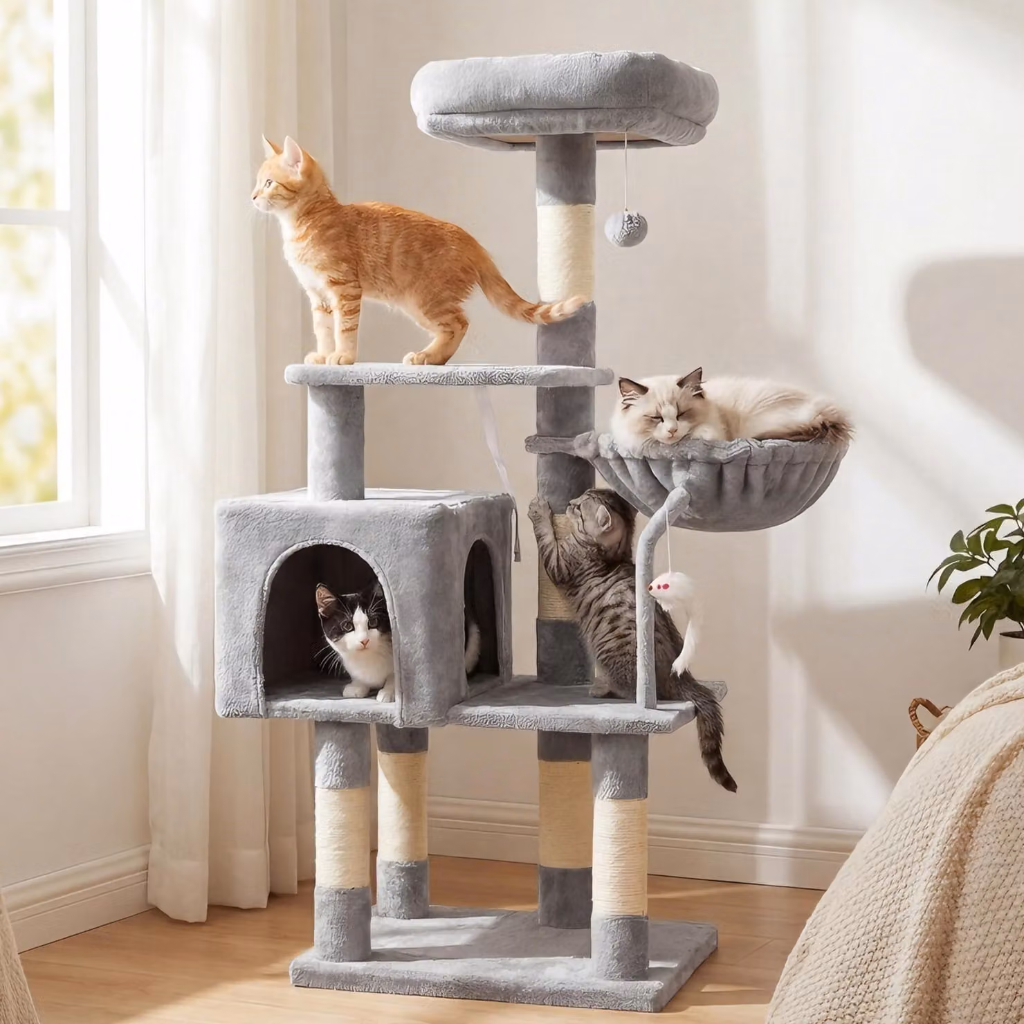 Albero per gatti con piattaforma e amaca - altezza 111 cm