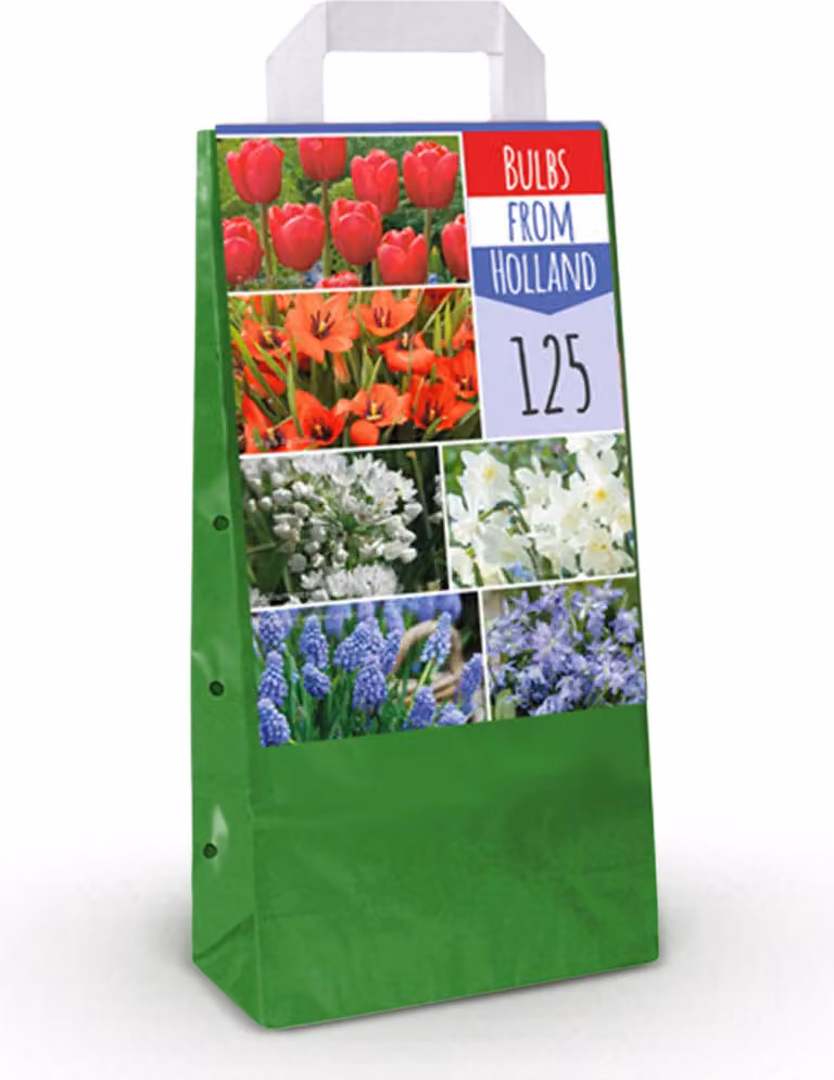 Bulbi da fiore - Bulbi dall'Olanda - Vari colori - 125 pezzi - 20-50cm - Ø5cm - Pianta da giardino - Multideal