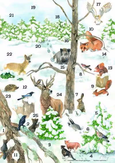 Calendario dell'Avvento, perché gli animali si aspettano il Natale, con libro di accompagnamento: Calendario dell'Avvento con immagini da ritagliare e libro di accompagnamento