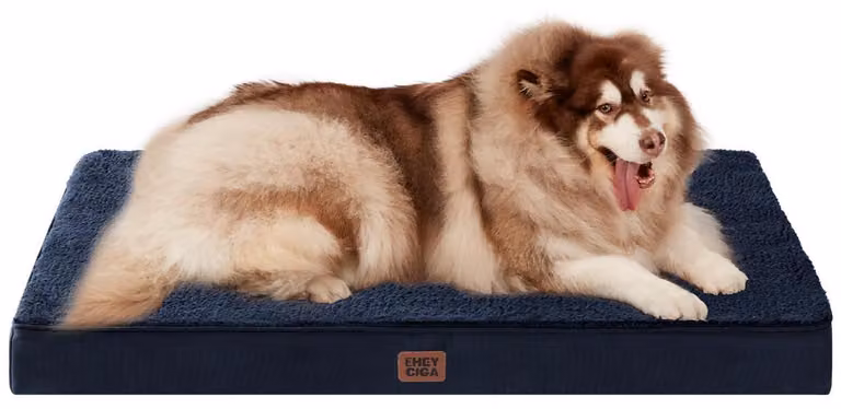 Cuccia ortopedica per cani, taglia XXL, 120x74 cm, lavabile, colore blu navy