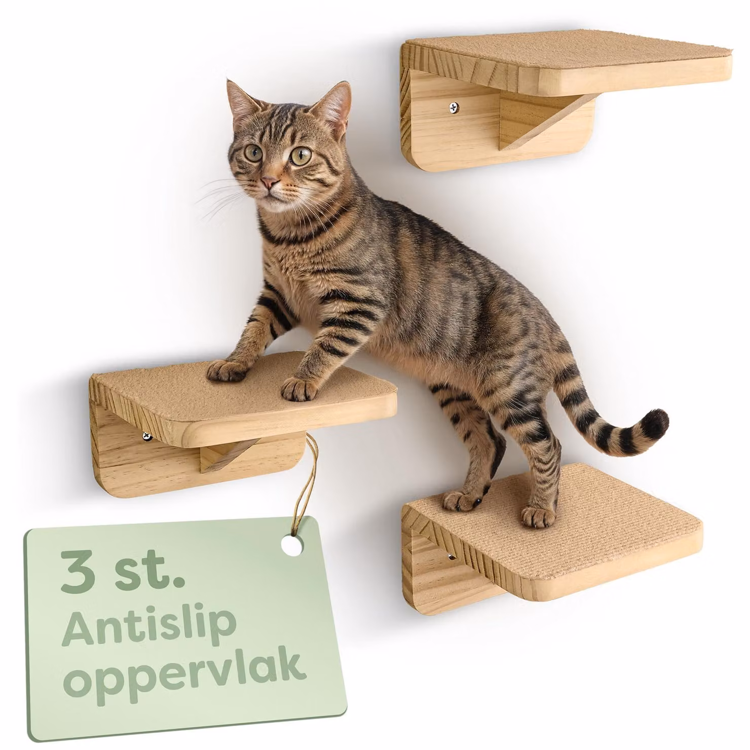 Elzusha - Set per parete da arrampicata per gatti - Beige, con 3 livelli