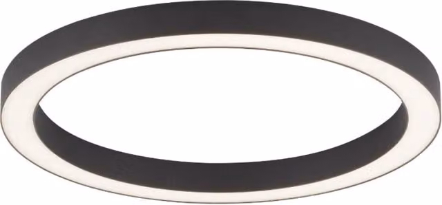 Plafoniera LED Paul Neuhaus PURE-LINES 50cm 30W antracite