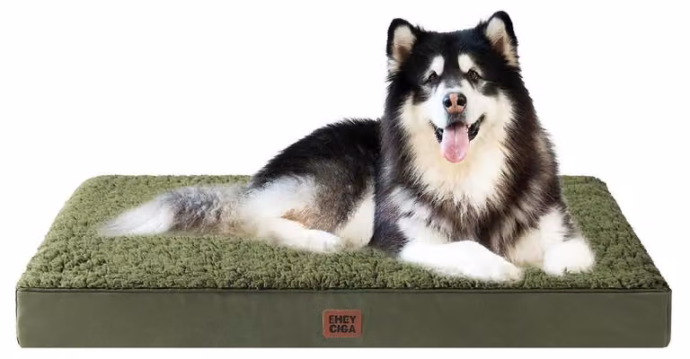 Cuccia ortopedica per cani, taglia XXL, 120x74 cm, lavabile, colore verde oliva