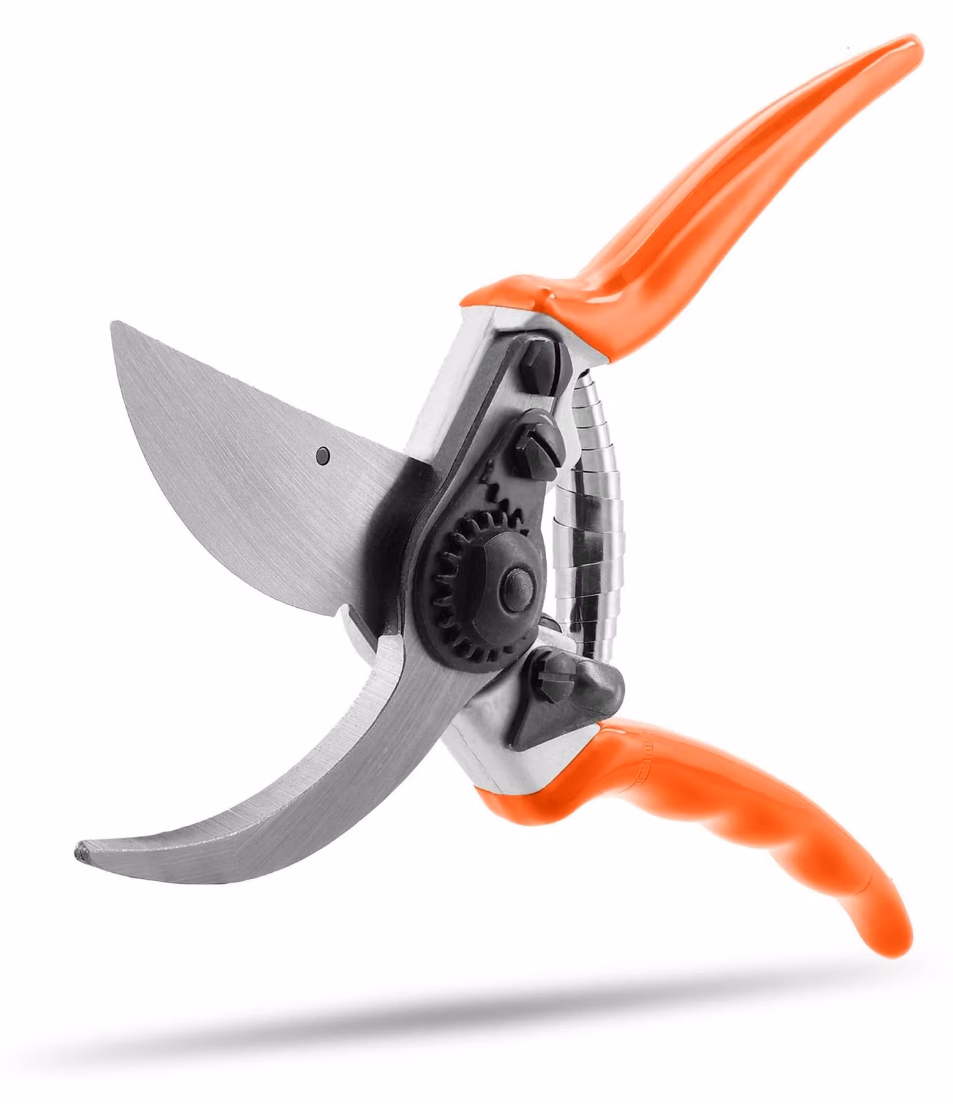 Forbici universali - Ergonomiche, multicolore