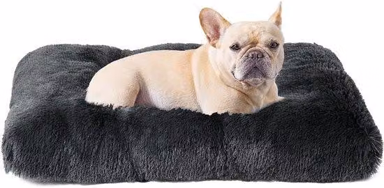 Cuccia per cani di piccole dimensioni con imbottitura morbida ed effetto antiscivolo