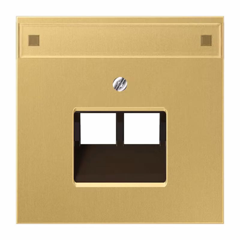 Jung ME2969-2NAUAC Copertura con campo di scrittura 12 x 55 mm in ottone classico