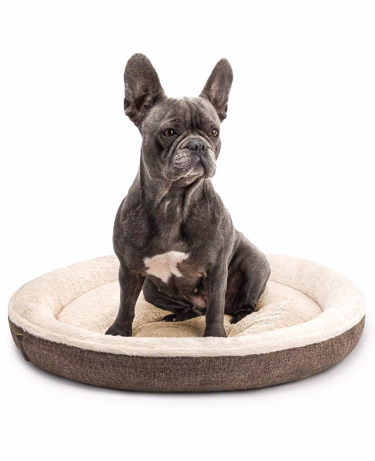 cuccia per cani lionto in morbido design a ciambella con base in peluche e antiscivolo, rivestimento lavabile, diametro 65 cm, marrone