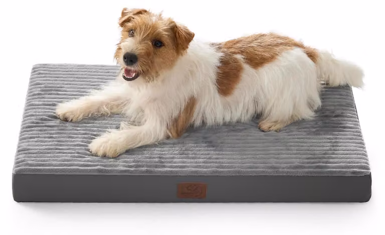 Cuccia per cani lavabile, cuscino confortevole, colore grigio, dimensioni 74x46x7 cm