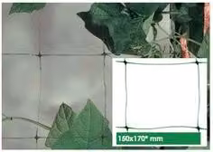 Rete per piante rampicanti e orticole Tenax in plastica bianca L: 10 m, H: 1,5 m
