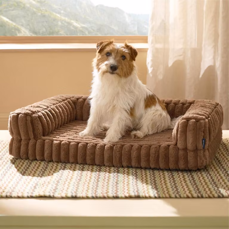 Cuccia ortopedica per cani, taglia media, 76x51x16,5 cm, color cammello, con bordi laterali e imbottitura in memory foam