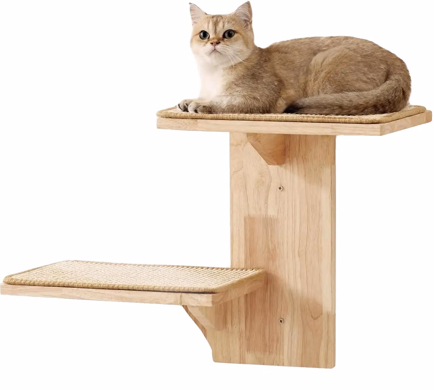 Pannello da parete per gatti, in legno massello, con due piattaforme, capacità di carico di 50 libbre, dimensioni 24 x 12 pollici, compatibile con il montaggio a parete