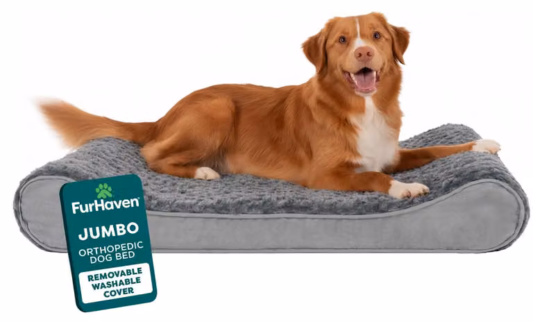 Letto ortopedico per cani di grandi dimensioni, marca Furhaven, con cuscino rimovibile e lavabile