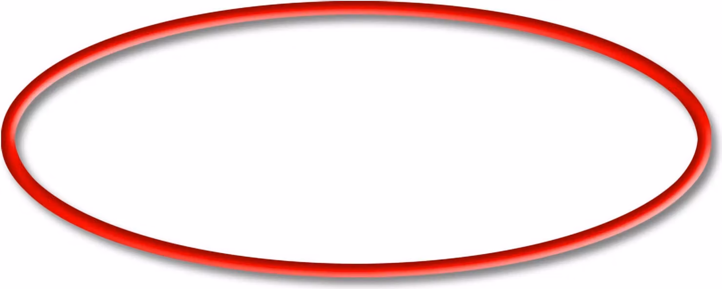 Ricambio SunSun per chiarificatori per laghetti serie CUV 300 e 600 - O-ring 2 - per filtri per laghetti, lampade UV, accessori per chiarificatori UVC