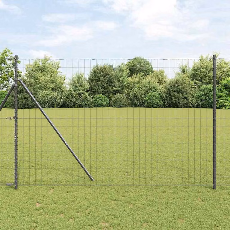 Maison Exclusive - Recinzione con Posto Grigio 1,6 x 10 m Acciaio e PVC