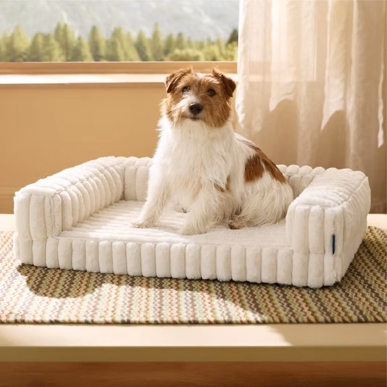 Cuccia ortopedica per cani, 76x51x17 cm, color crema, con memory foam e base antiscivolo