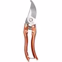 Forbice da giardino SK-5 - Forbice da potatura - Lunghezza 21 cm - Lama affilata - Ideale per alberi da frutto