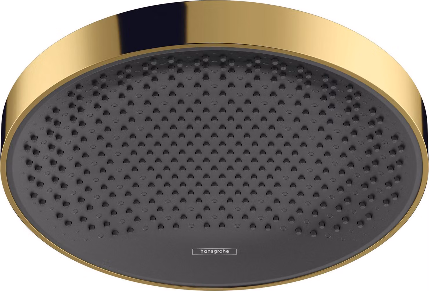 hansgrown Rainfinity douche de plafond 250 1jet, 26228990, 26228990