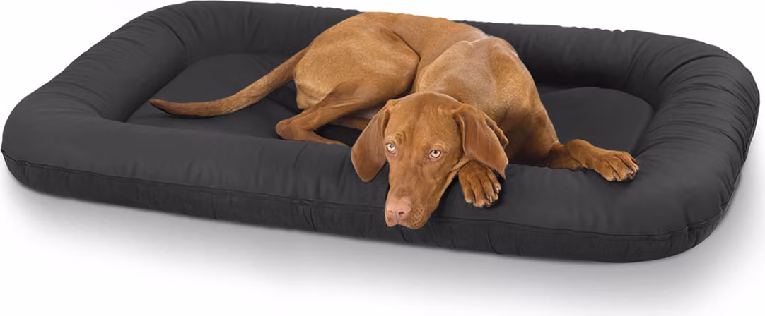 Cuccia impermeabile per cani in pelle artificiale XXL - 120 x 100 cm | Nero