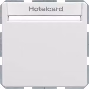 Berker 16406099 Interruttore a relè con elemento centrale per Hotelcard bianco polare, completo di Berker Q.1/Q.3