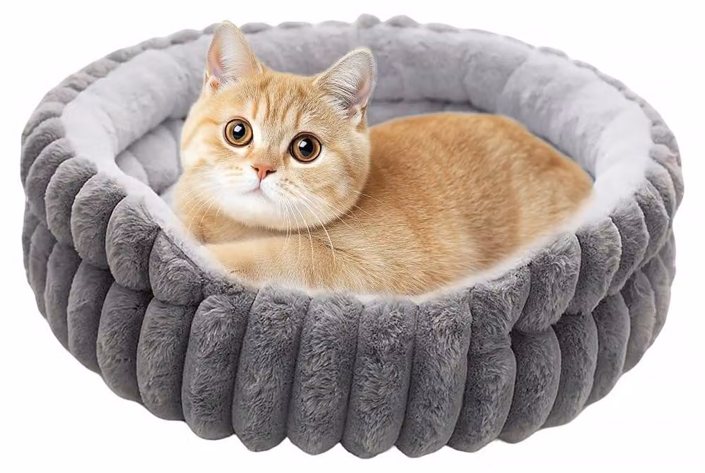Cuccia a forma di ciambella per cani e gatti di piccola taglia, rotonda e lavabile