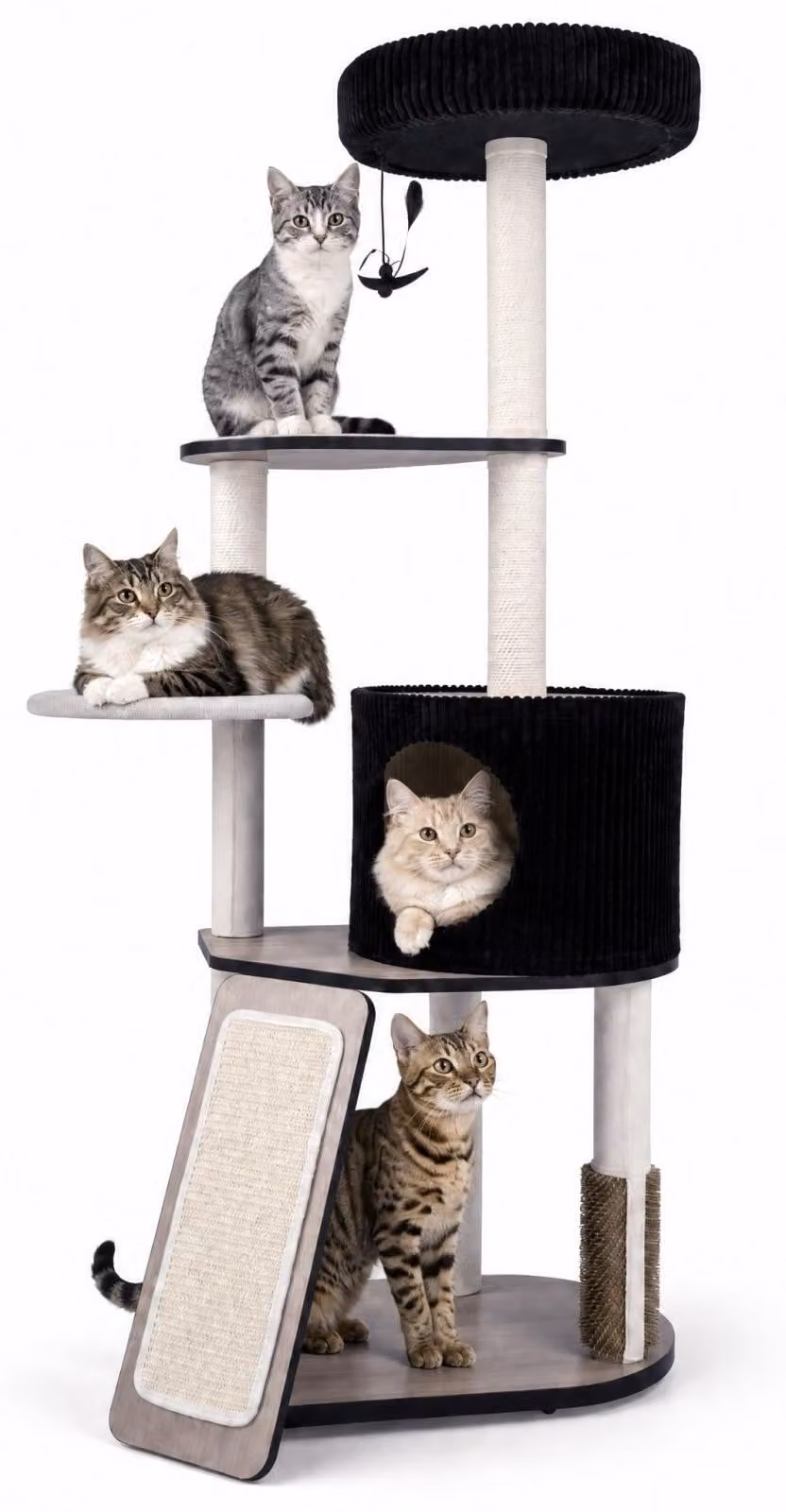 KOMFOTTEU, tiragraffi per gatti, 155 cm, con cuccia e 3 piattaforme