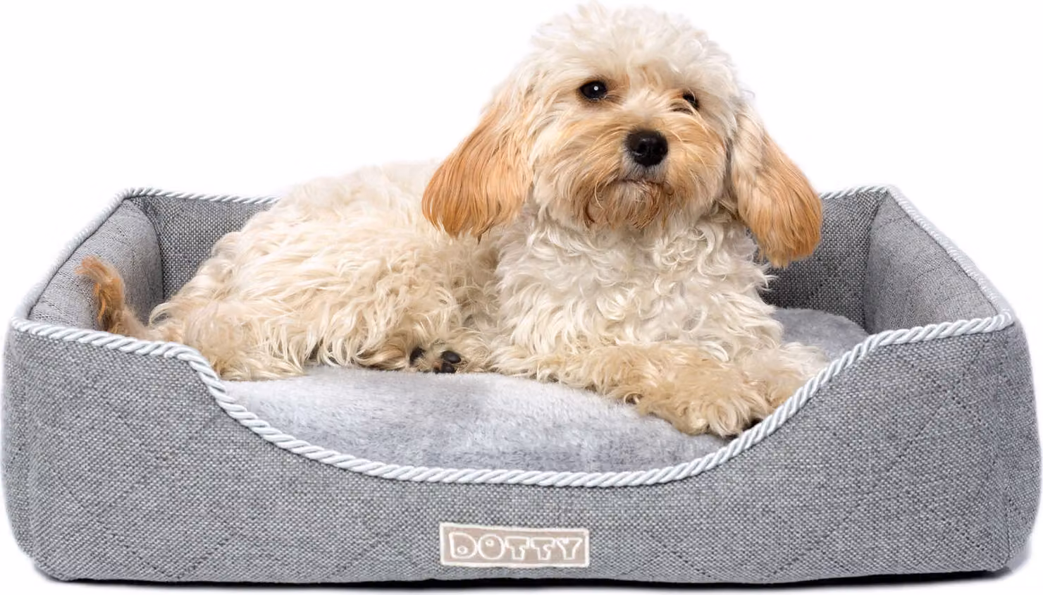 DOTTY posto letto per cani divano per cani, letto per gatti, letto coccoloso per animali domestici, letto in peluche per cani di piccola taglia, lavabile, grigio, taglia XS (45 cm x 35 cm)
