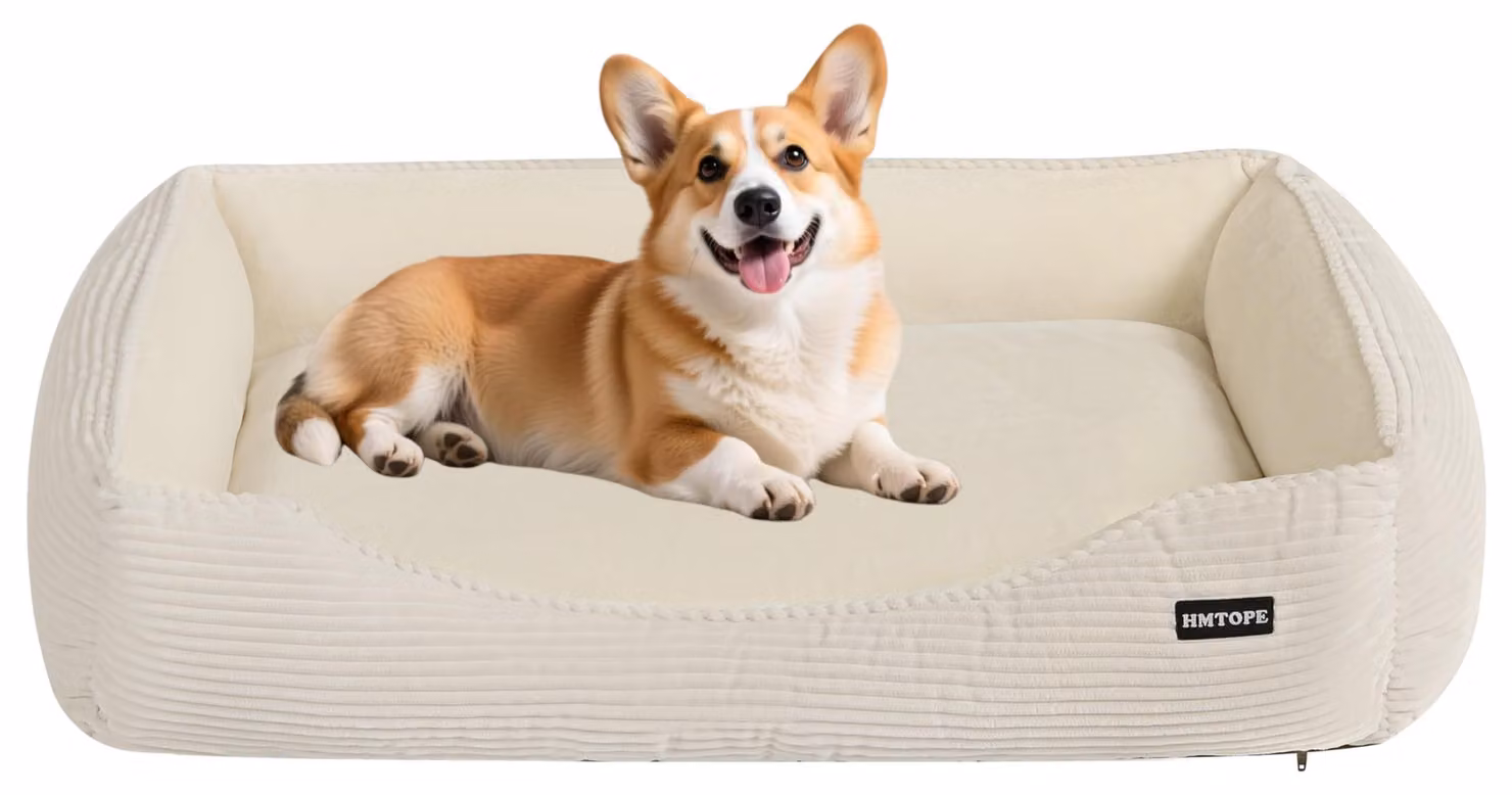 Cuccia ortopedica per cani, dimensioni 90 x 75 x 25 cm, rivestita in velluto corduroy, antiscivolo, color beige, adatta ai cani