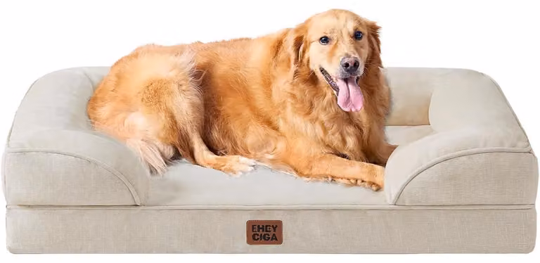 Cuccia ortopedica per cani, taglia XL, 112x81 cm, realizzata in memory foam, colore beige, lavabile, impermeabile, antiscivolo, con bordo rialzato