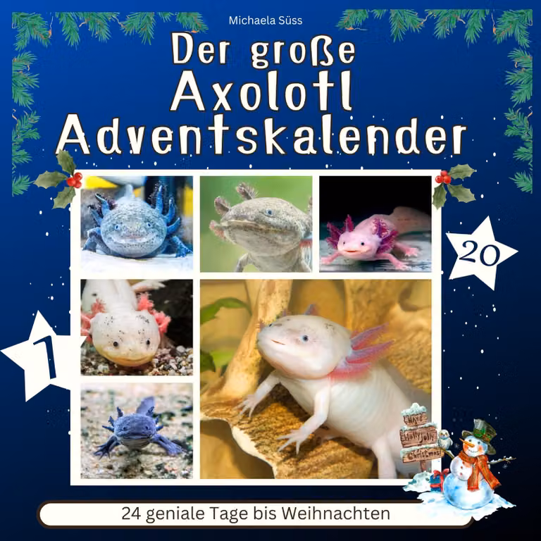 Calendario dell'Avvento a tema Axolotl: 24 giorni geniali fino a Natale